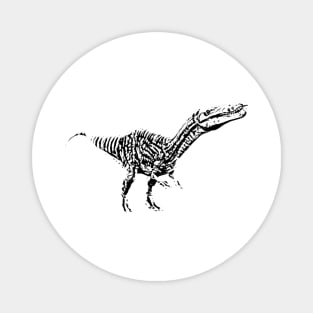 Baryonyx Magnet